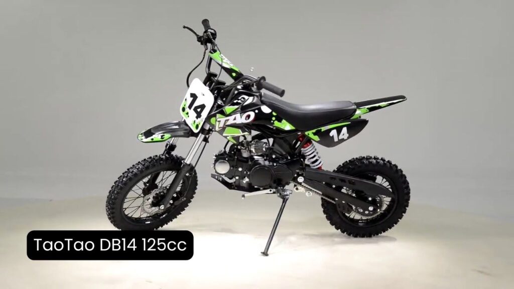 TaoTao D814 125CC - Top 10 Best Mini Motorcycles for Adults in 2025