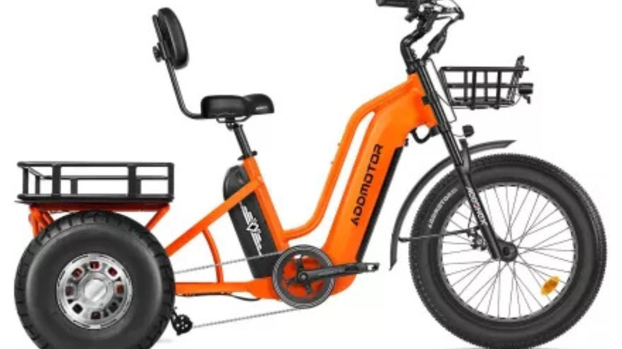 The Greattan D Cargo eTrike - 3 The Greattan D Cargo eTrike - 3